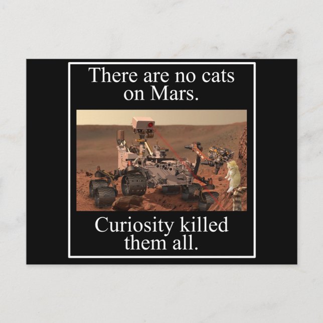 Postal La curiosidad Rover de la NASA y ningunos gatos en (Anverso)