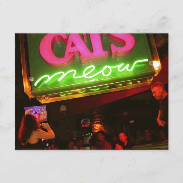 Postal La discoteca del gato Meow en Nueva Orleans (Anverso)