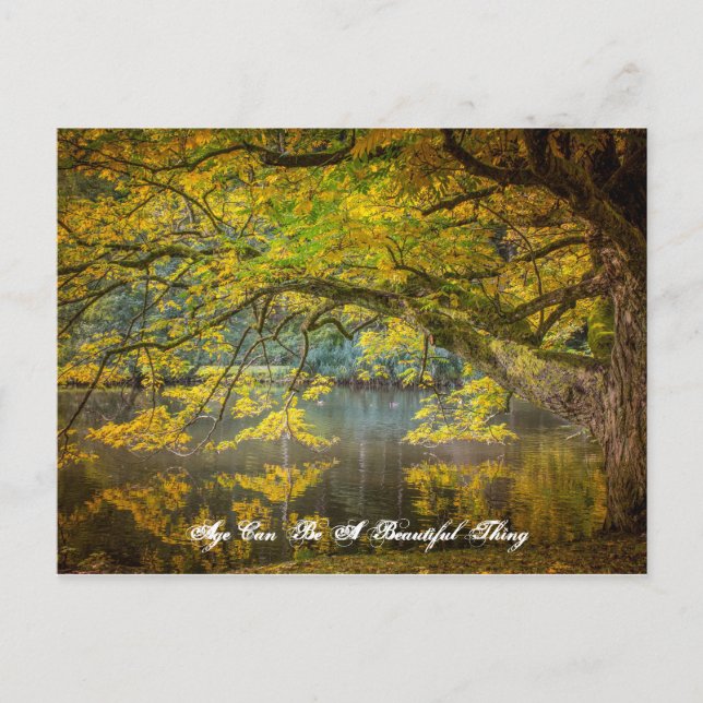 Postal La edad puede ser algo hermoso (Anverso)