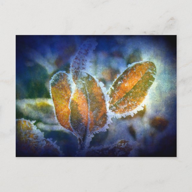 Postal La enfermedad del invierno (Anverso)