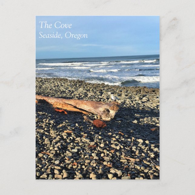 Postal La ensenada en la costa, Oregón (Anverso)