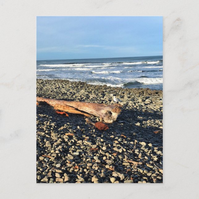 Postal La ensenada en la costa, Oregón (Anverso)