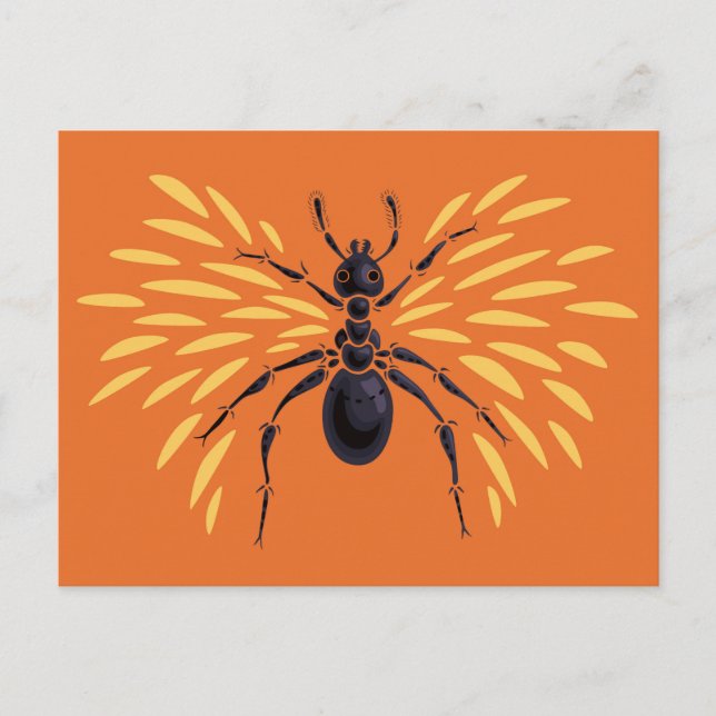 Postal La entomología del Naranja de Lover Fiery Ant Art (Anverso)