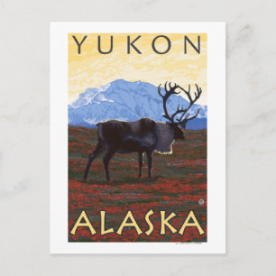 Postal La escena del Caribou - Yukon, Alaska