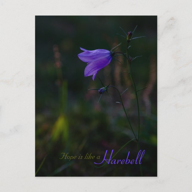 Postal La esperanza es como un harebell CC0229 (Anverso)