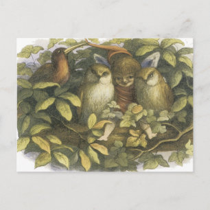 Postal La Fairyland, 1870 Hada Con Lechuzas
