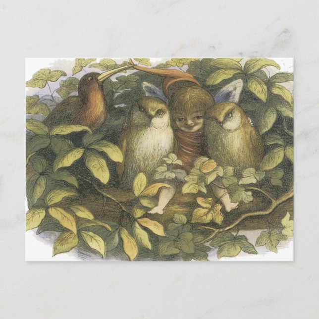 Postal La Fairyland, 1870 Hada Con Lechuzas (Anverso)