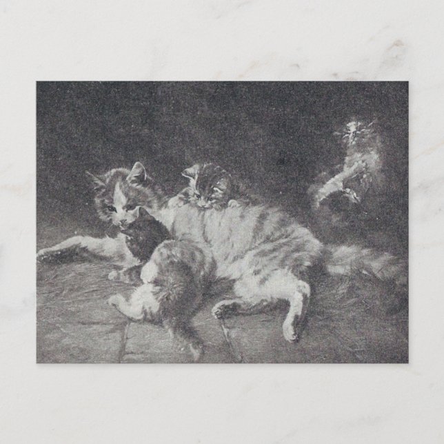 Postal La familia del gato (Anverso)
