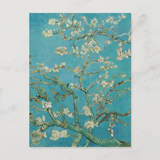 Postal La flor de almendras de Van gogh (Anverso)