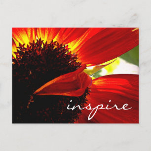 Postal La flor de margarita de la Gerbera roja inspiró el