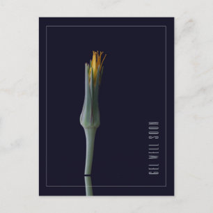 Postal La Flor Elegante Y Personalizada Se Ve Bien Pronto