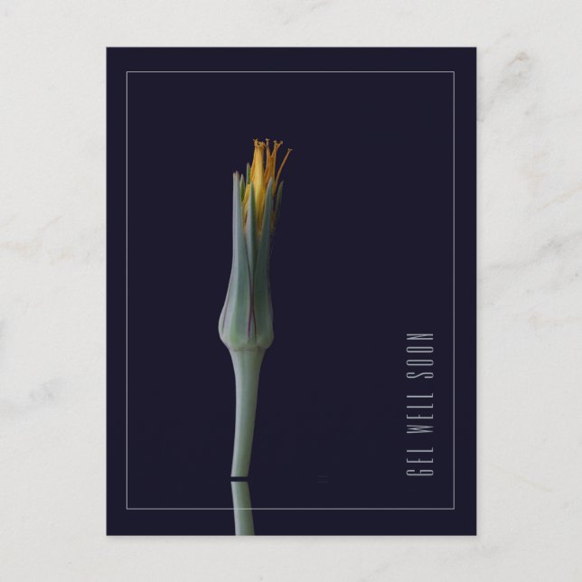 Postal La Flor Elegante Y Personalizada Se Ve Bien Pronto (Anverso)