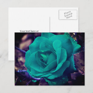 Postal La flor Rosa Aqua personalizada
