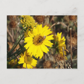 Postal La flor y la abeja