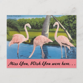 Postal La Florida, flamencos