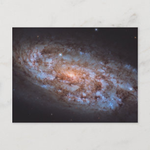 Postal La forja estelar