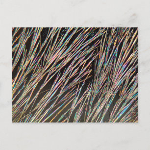 Postal La forma de fragancia: Cristales de cumarina