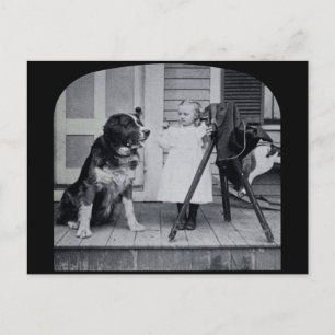 Postal La fotógrafa pequeña y su cosecha de St. Bernard