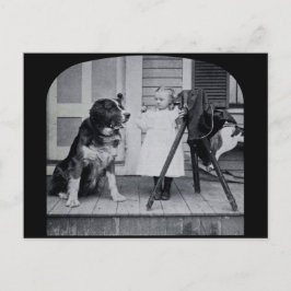 Postal La fotógrafa pequeña y su cosecha de St. Bernard