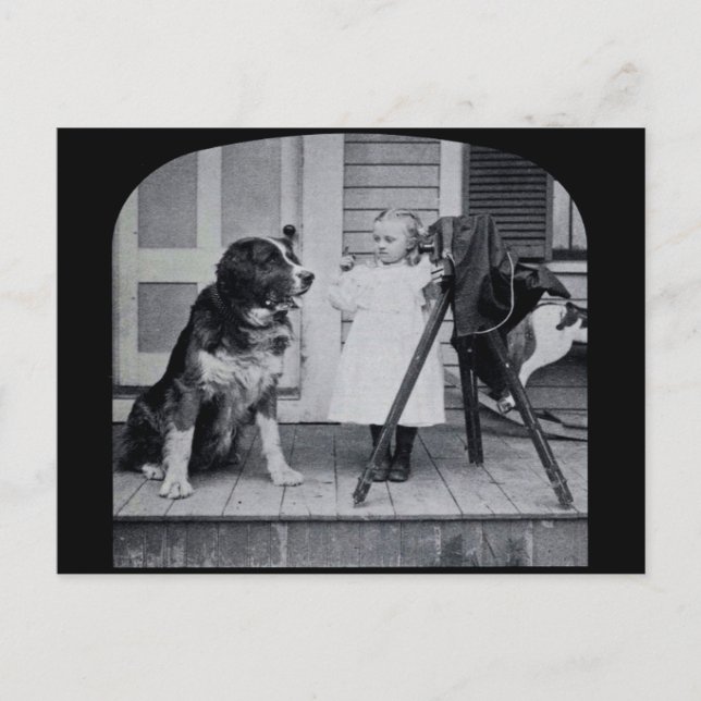 Postal La fotógrafa pequeña y su cosecha de St. Bernard (Anverso)