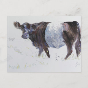 Postal La franja blanca