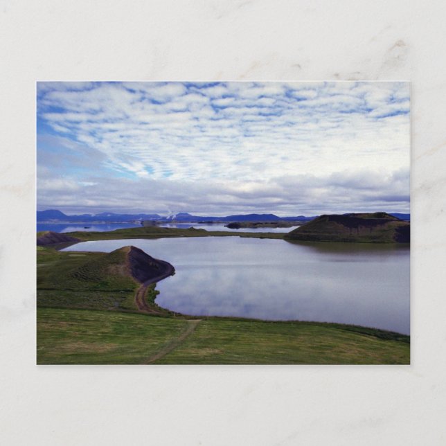 Postal La Fratercula Artica, Islandia (Anverso)