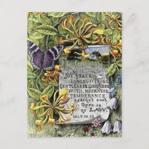 Postal La fruta del alcohol