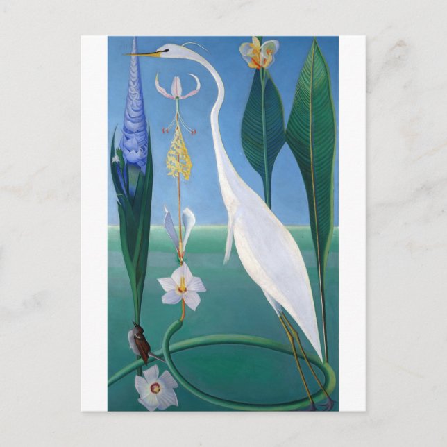 Postal La garza blanca de Joseph Stella (Anverso)
