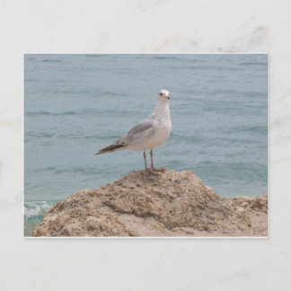 Postal La gaviota solitaria (2134)