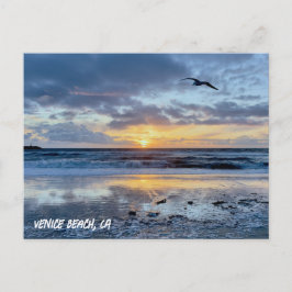 Postal La gaviota toma vuelo - Venice Beach, California