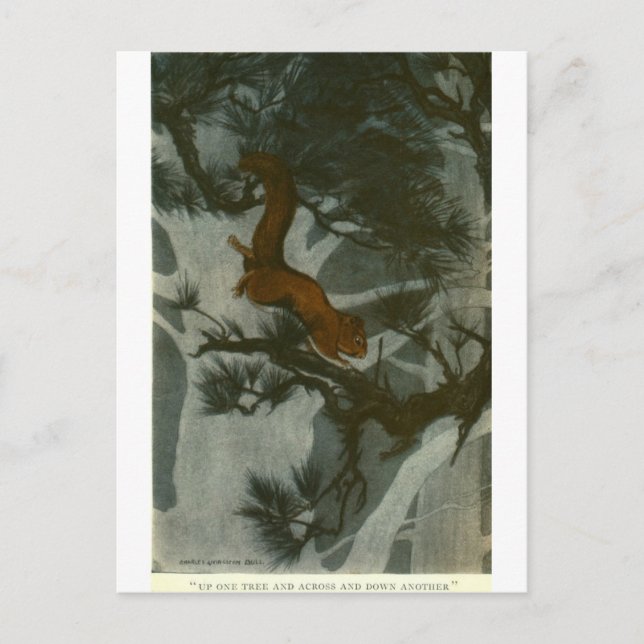 Postal La gente torpe del bosque (Anverso)