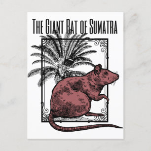 Postal La gigantesca rata de Sumatra Holmesian Sherlock H