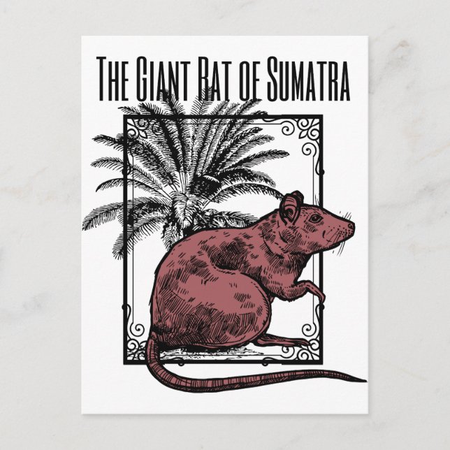 Postal La gigantesca rata de Sumatra Holmesian Sherlock H (Anverso)