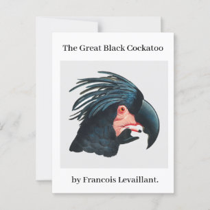 Postal La Gran Cockatoo Negra de Francois Levaillant.