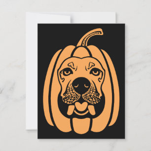 Postal La gravedad de la calabaza de perro labrador cae e