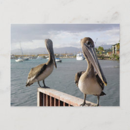 Postal La Guancha en paz