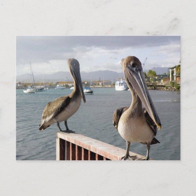 Postal La Guancha en paz (Anverso)