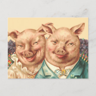 Postal La guapa pareja de cerdos