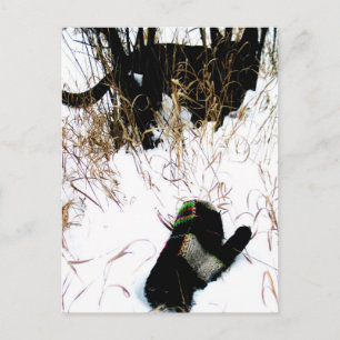 Postal La historia folclórica ucraniana de Mitten