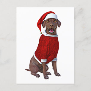 Postal La hora del chocolate labrador para los Navidades