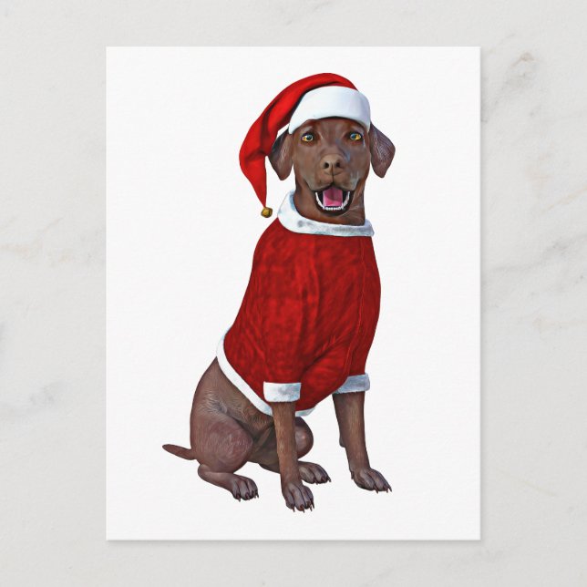 Postal La hora del chocolate labrador para los Navidades (Anverso)