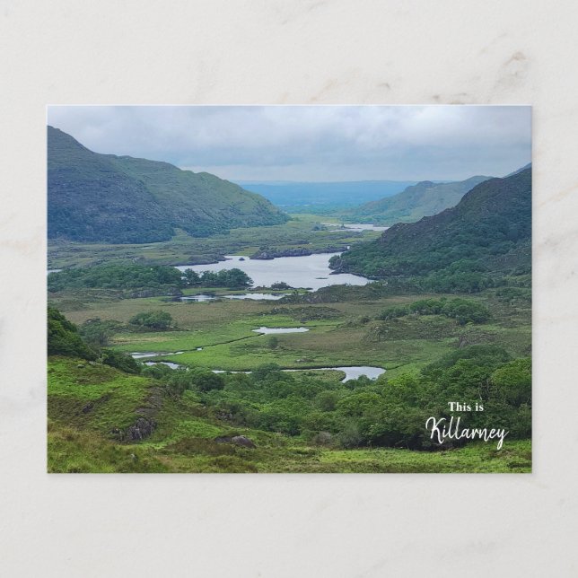 Postal La incesante opinión de las damas, Killarney (Irla (Anverso)