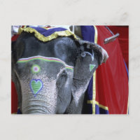 La India, Rajasthán, Jaipur. Fuerte ambarino