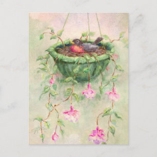 Postal La JERARQUÍA del PETIRROJO de SHARON SHARPE