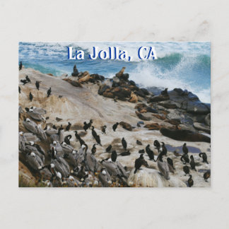 Postal La Jolla California Post Card