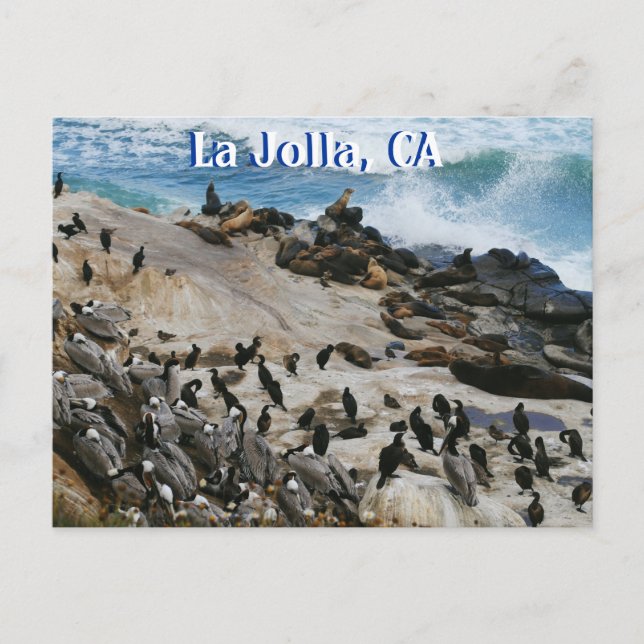 Postal La Jolla California Post Card (Anverso)