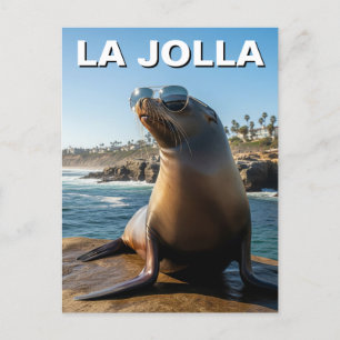 Postal La Jolla Sea Lion California Travel