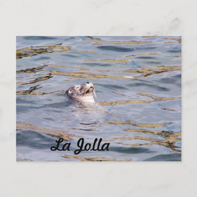 Postal La Jolla Seal (Anverso)