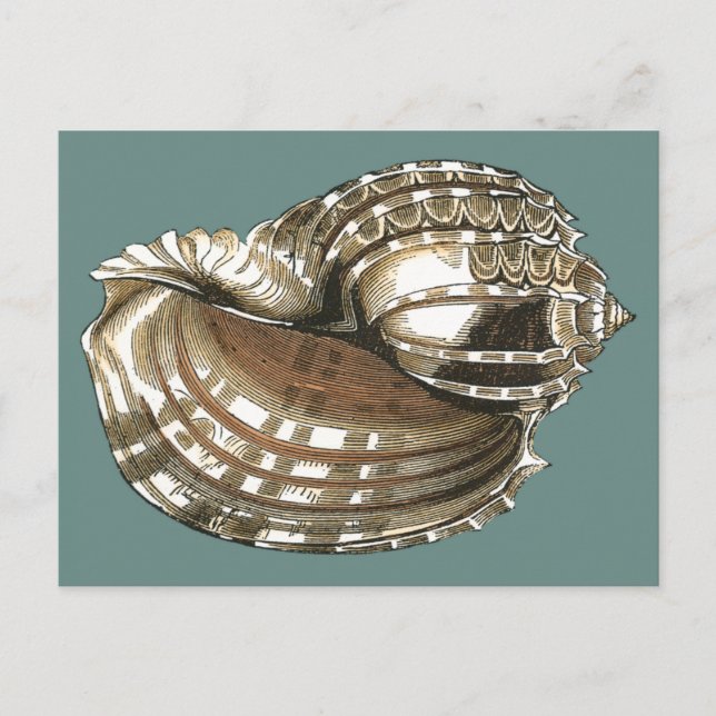 Postal La joya del océano (Anverso)