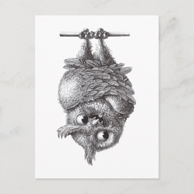 Postal La lechuza Guay y tan asustadiza (Anverso)